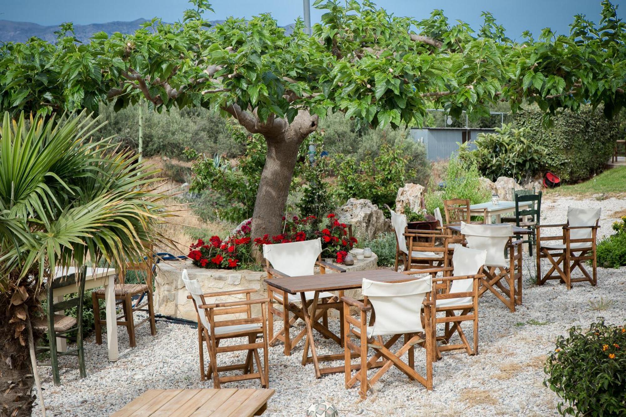 Agarathos Traditional Rooms - Pool - Kaliviani -On The Road To Balos ภายนอก รูปภาพ